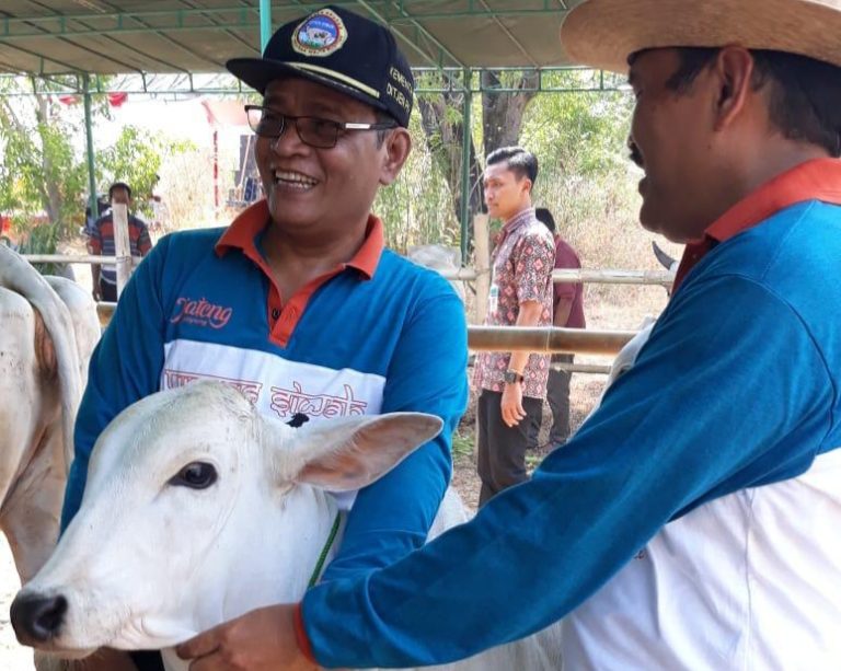 Peningkatan Produksi Pangan Asal Ternak Melalui Agribisnis Peternakan Rakyat