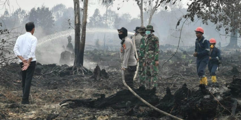 Pemerintah Didesak Percepat Penanganan Kebakaran Hutan