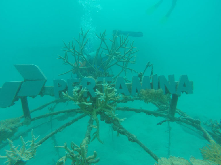 #MenggerakkanIndonesia lewat Pelestarian Alam Bawah Laut Karimunjawa