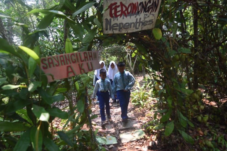 Inovasi Pertamina Gelar Program Sekolah Cinta Gambut