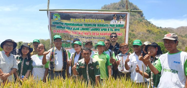 Tetap Panen di Musim Kering, Ini Rahasia Petani Labuan Bajo NTT