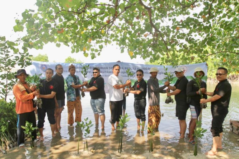 Semangat Rimbawan Serikat Pekerja Pertamina Peduli Mangrove