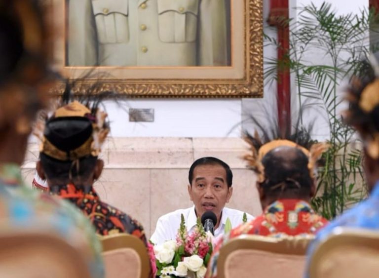 Tokoh Papua Usul Pemekaran Wilayah, Begini Respon Jokowi