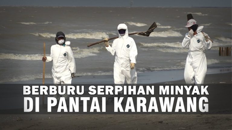 Sepenggal Kisah Dibalik Tumpahan Minyak Pesisir Pantai Karawang