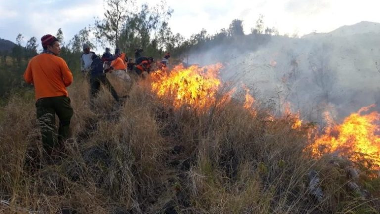 Upaya Pemprov Jatim Atasi Karhutla Gunung Arjuno