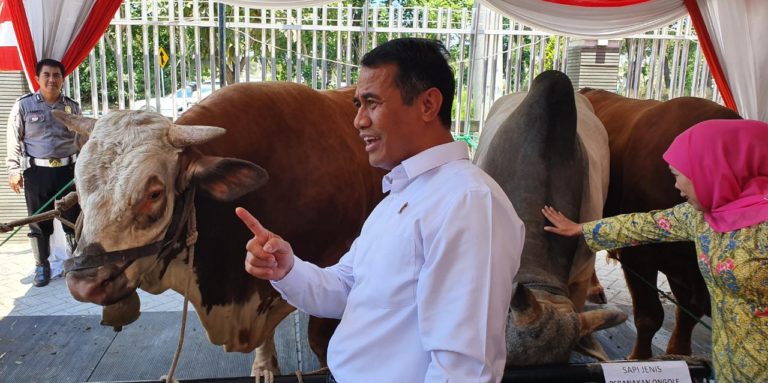 Amran Sebut Populasi Sapi Indonesia Meningkat 5 Juta Ekor
