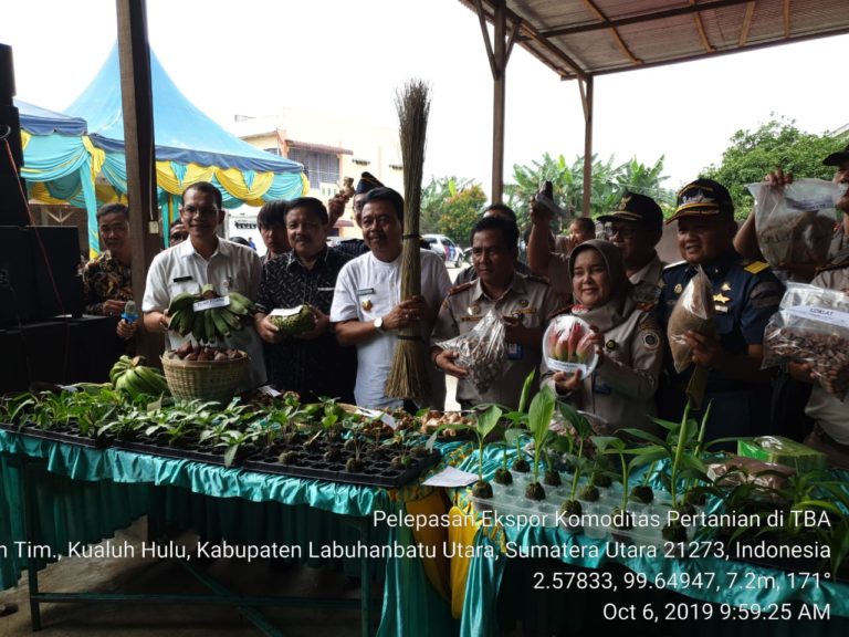 Produk Hortikultura Asal 6 Kabupaten di Sumut Laris di Pasar Ekspor
