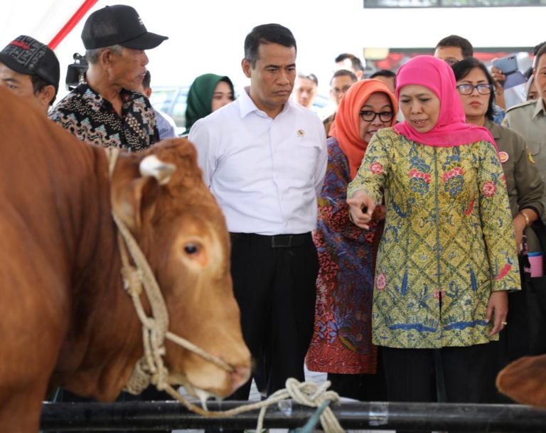 Jawa Timur Siap jadi Role Model Peningkatan Jumlah Populasi Sapi di Indonesia