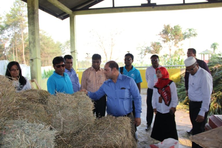 Delegasi Bangladesh Belajar Peternakan di BBIB Singosari