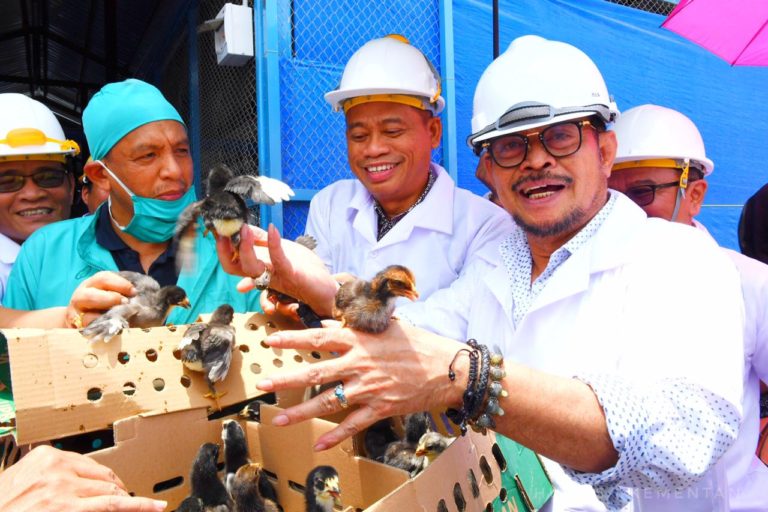 Mentan SYL Dorong Pembibitan Ayam Kampung Berbasis Pemberdayaan Masyarakat