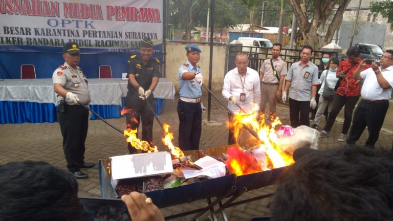 Kementan Musnahkan 83 Komoditas Pertanian Ilegal