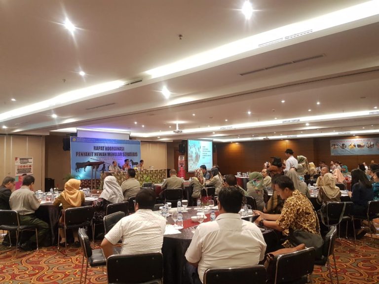 Kementan Antisipasi Penyakit Demam Babi Afrika