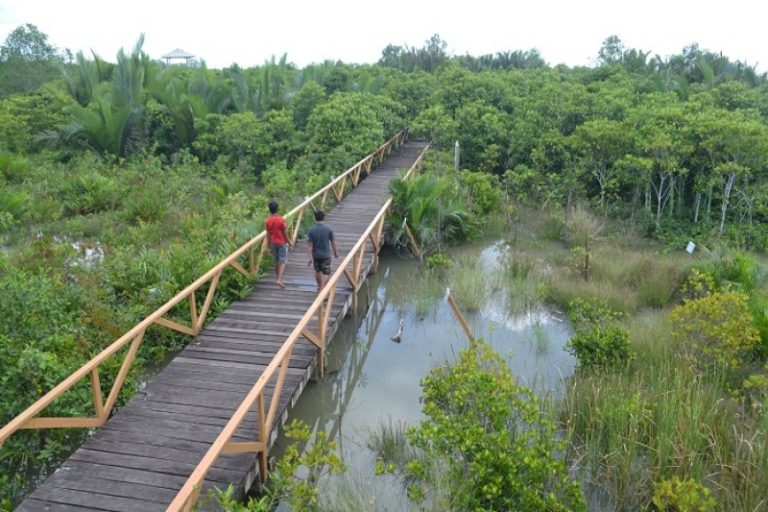 Kolak Sekancil, Wisata Mangrove Terlengkap di Indonesia