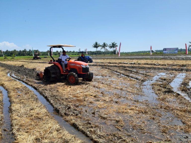 Akselerasi Kedaulatan Pangan, Kementan Fokus Kendalikan Alih Fungsi Lahan