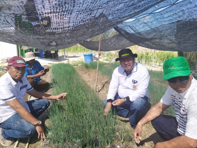 Wajib Tanam Bawang Putih bagi Importir Tetap Diterapkan