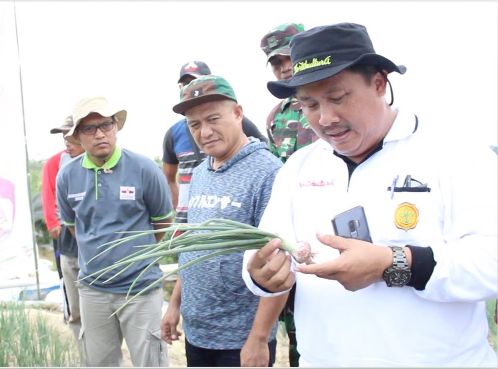 Kementan Dorong Konawe Selatan Kembangkan Kawasan Hortikultura Monitor