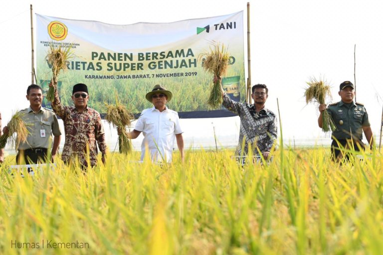 Kompaknya Mentan SYL Panen Padi di Karawang Bareng Moeldoko