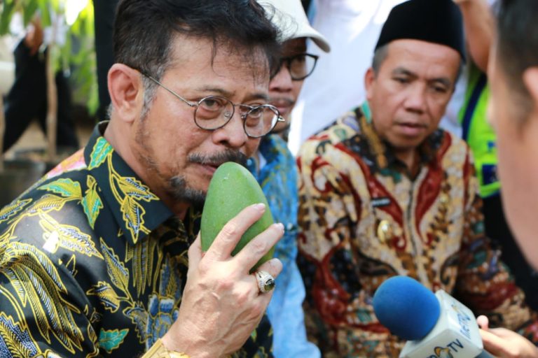 Menteri Syahrul Dukung Pengembangan dan Ekspor Buah Indonesia