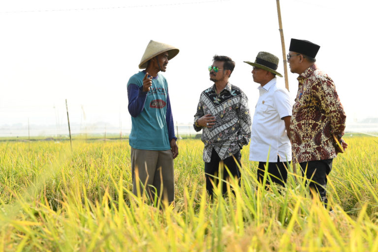 Sektor Pertanian Indonesia Diakui Makin Baik dan Berkualitas