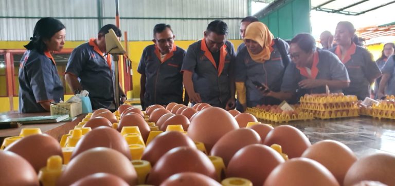 Kementan Ajak Masyarakat untuk #BijakCerdasAntibiotik