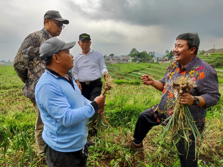 Kementan Pilih Tegal Jadi Lokasi Pelatihan Petugas Verifikasi Bawang Putih