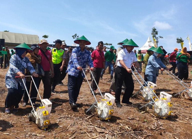 Bersama Kementan, Petani Tulungagung Lakukan Gerakan Tanam Jagung