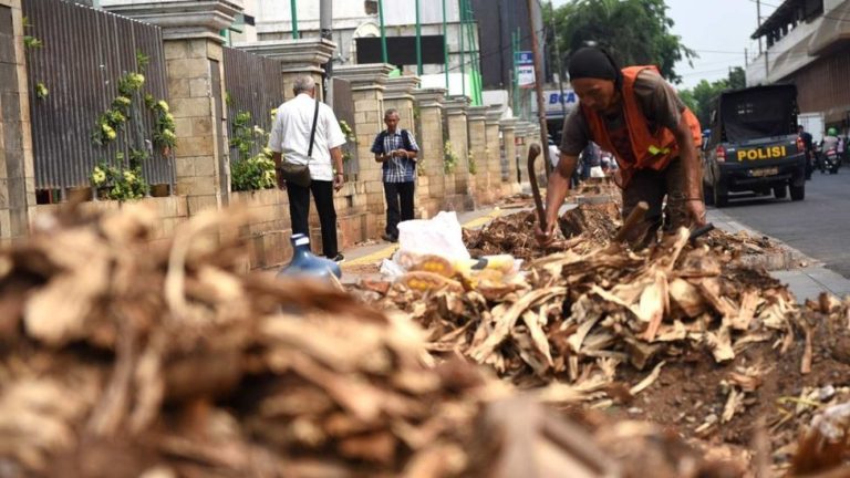 Pohon Rindang di Cikini Ditebang, Pemprov DKI: Itu Mengganggu