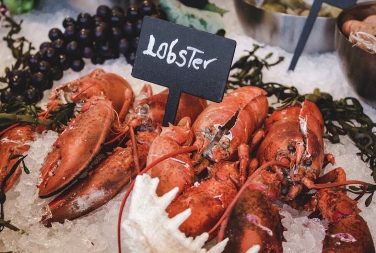 Gus Dur, Lobster dan Ekonomi Maritim