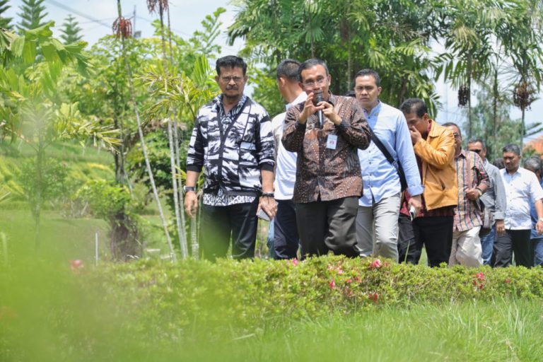 Mentan Syahrul Minta Peneliti Tanaman Hias Kerja Keras