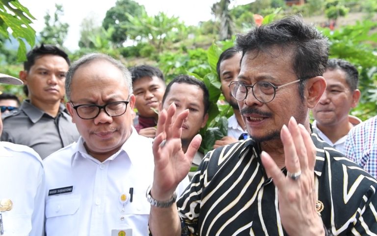 Dua Fokus Kementan Kembangkan Kakao, Tingkatkan Kualitas dan Produktifitas