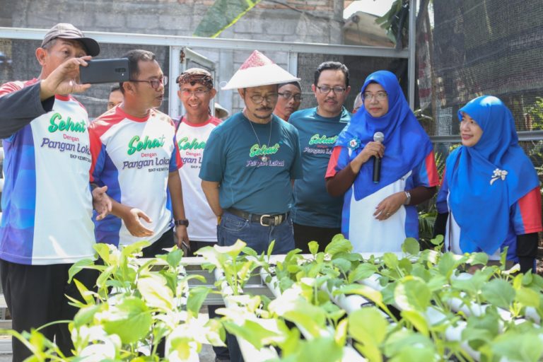 Di Kampung Sayur, Mentan Bicara Semangat Pertanian dan Program KUR