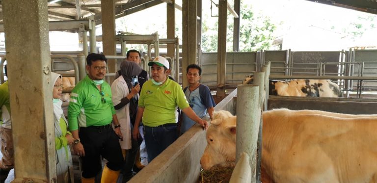 Mentan Syahrul Minta Ternak Unggulan Kementan Disebarluaskan untuk UMKM