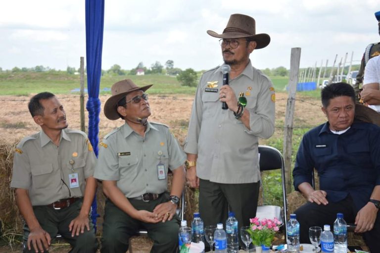Mentan Harap Sumsel Jadi Lumbung Bibit Sapi Unggul