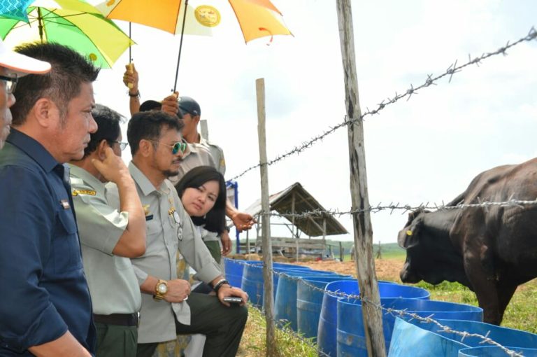 Kementan Dorong Peningkatan Populasi dan Produktivitas Ternak