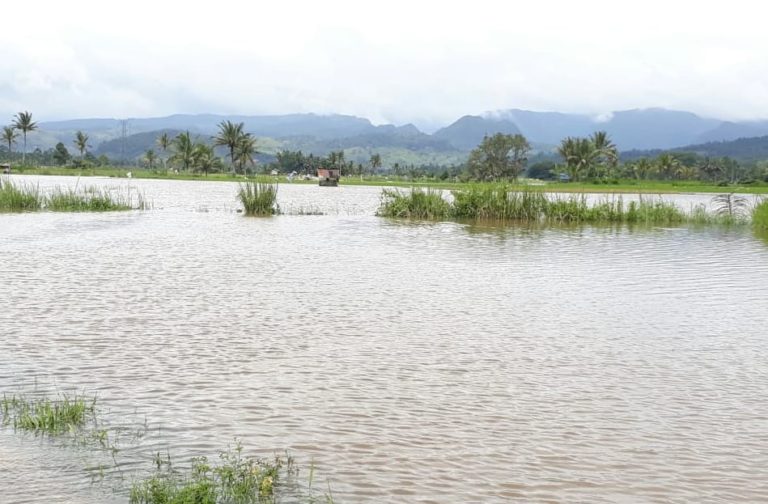 Memasuki Musim Hujan, Kementan Monitoring Cuaca dan Antisipasi Bencana