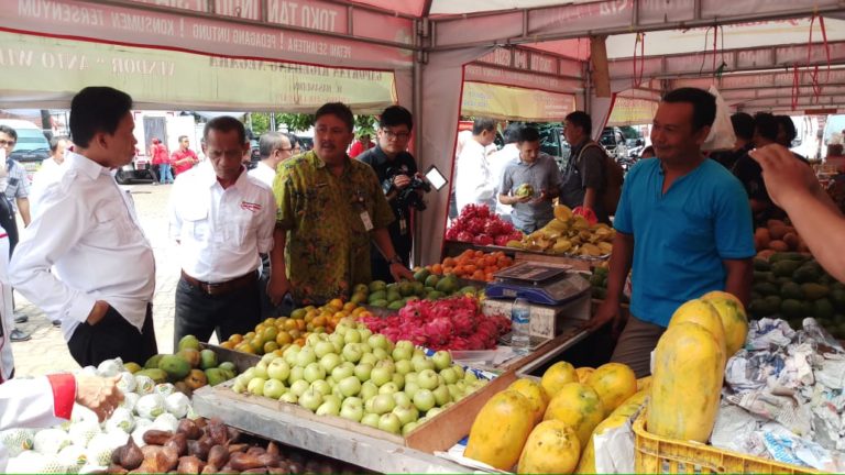 Stabil Selama 2019, Kementan Pastikan Stok Pangan Aman hingga Maret 2020