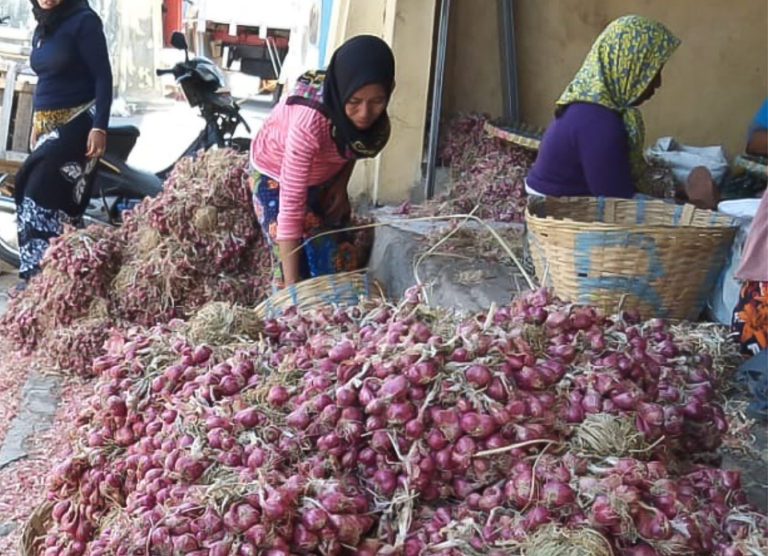 Petani Brebes Optimis Cukupi Suplai Bawang Merah Jabodetabek