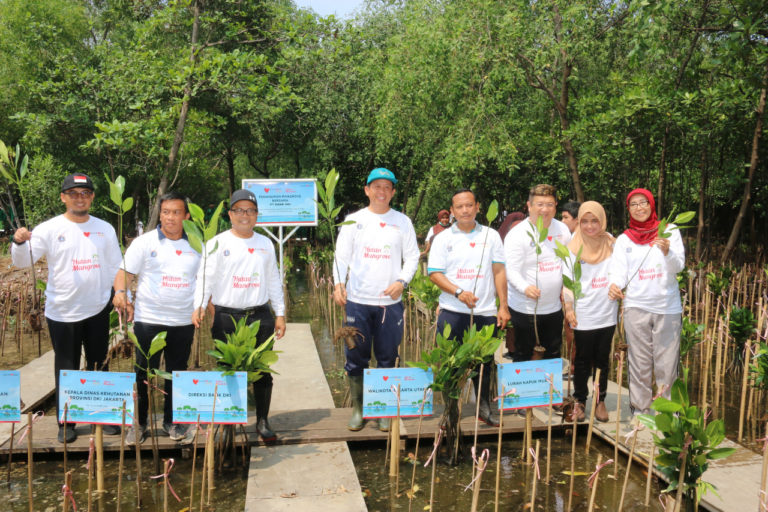 Dukung Penanganan Abrasi, Bank DKI Tanam 5000 Bibit Mangrove di Jakut