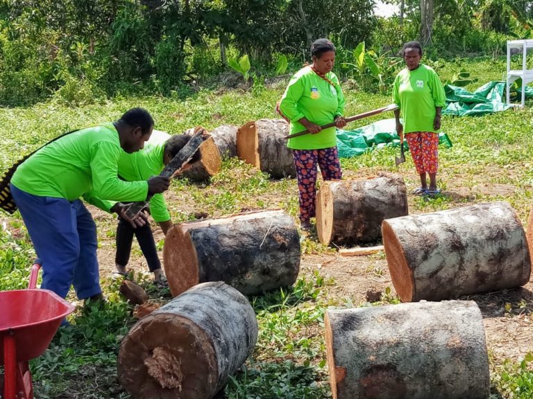 BKP Kembangkan Pangan Lokal Berbasis Sagu di Merauke