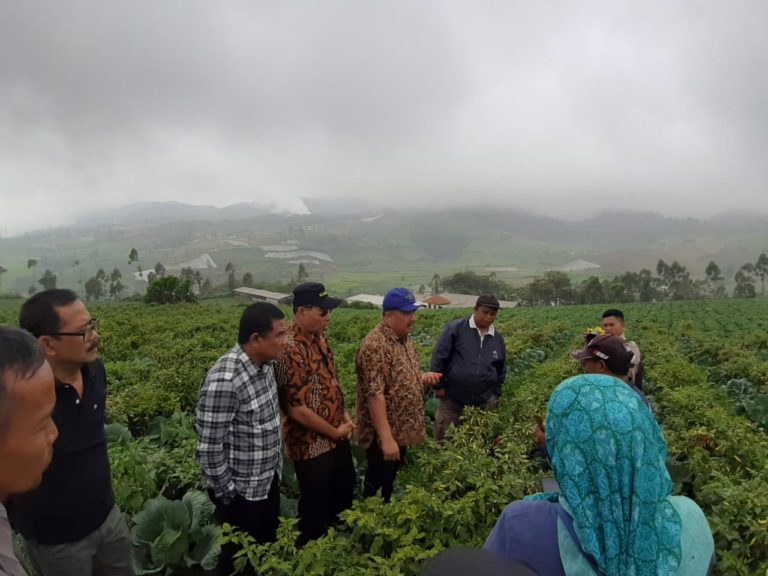 Early Warning System Cabai dan Bawang Merah Nasional: Januari-Maret 2020 Aman