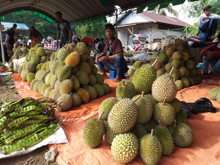 Angkat Pamor Buah Lokal, Pemkab Banjar Gelar Festival Durian 2020