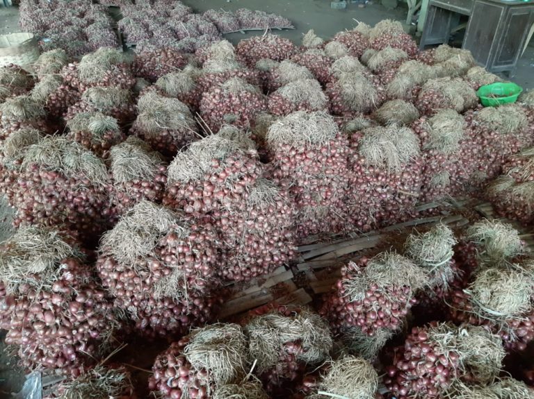 Musim Penghujan, Kementan: Pasokan Bawang Merah dan Cabai Tetap Aman