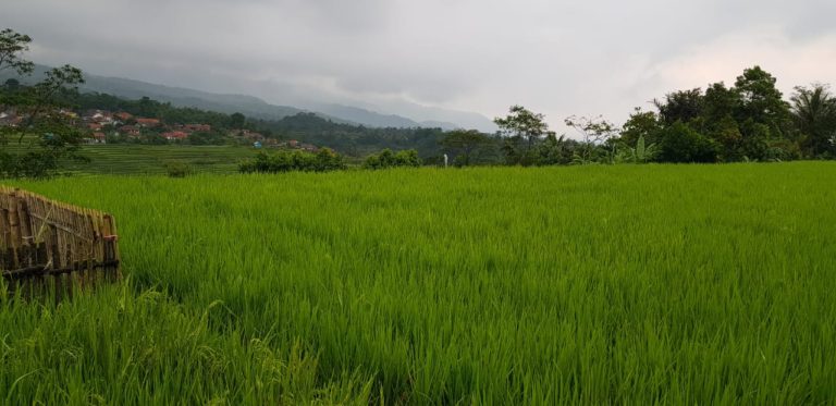 Bekasi Dukung Kementan Pertahankan Lahan Pertanian