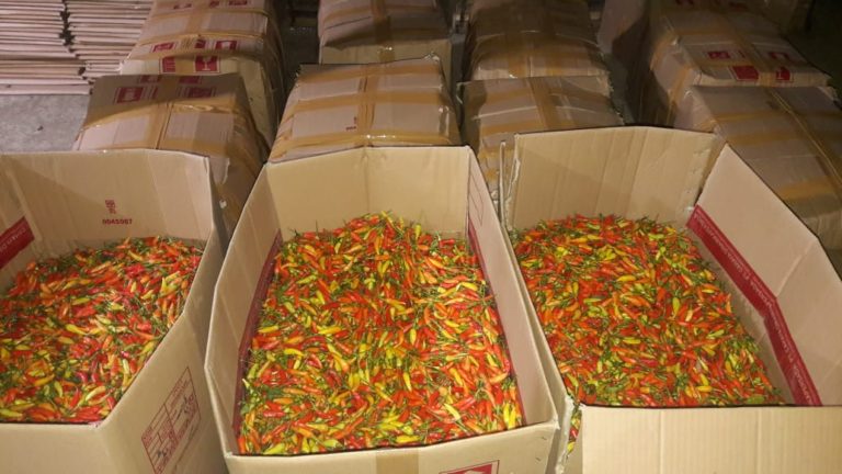 Kementan Datangkan Cabai dari Sulsel Guna Stabilkan Pasokan dan Harga