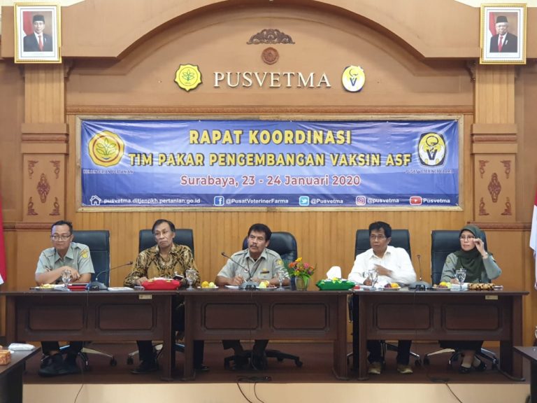 Cegah Demam Babi Afrika, Prototipe Vaksin Rekombinan ASF Kementan Siap Diproduksi