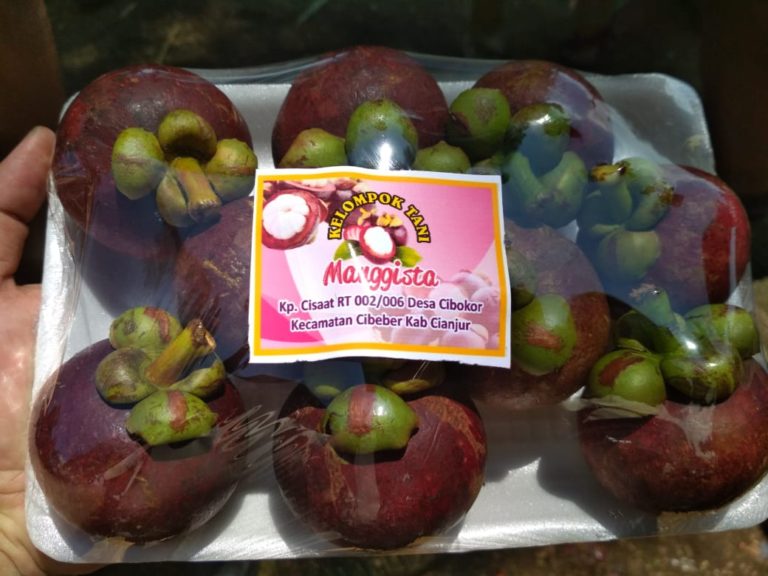 Cianjur Siap Wujudkan Gratieks Manggis