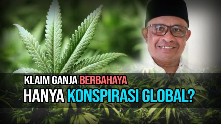 Viral Politikus PKS Usul Legalkan Tanaman Ganja