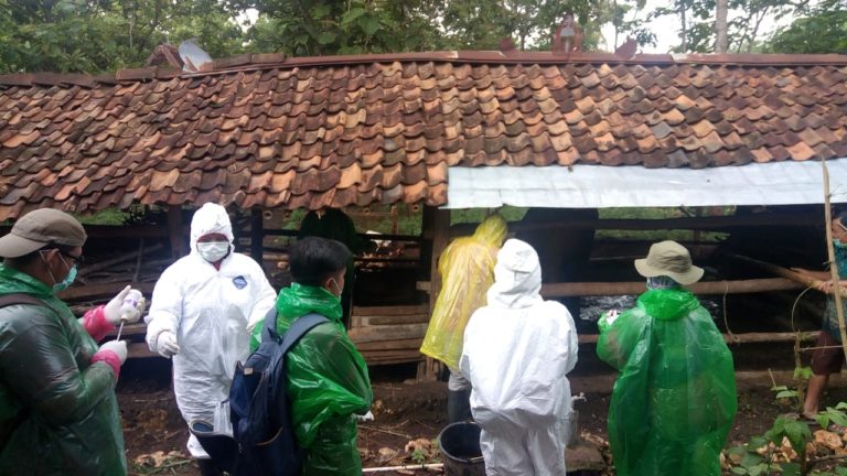 Anthrax di Gunung Kidul Dinyatakan Terkendali