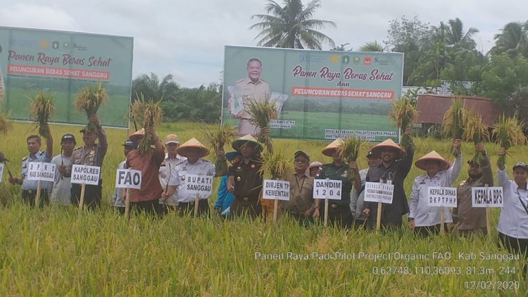 FAO-Kementan Dukung Pengembangan Beras Organik di Kabupaten Sanggau