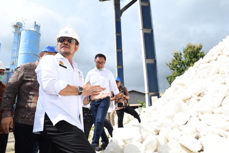 Menteri Syahrul Jamin Stok 11 Kebutuhan Pokok Aman Hingga Agustus